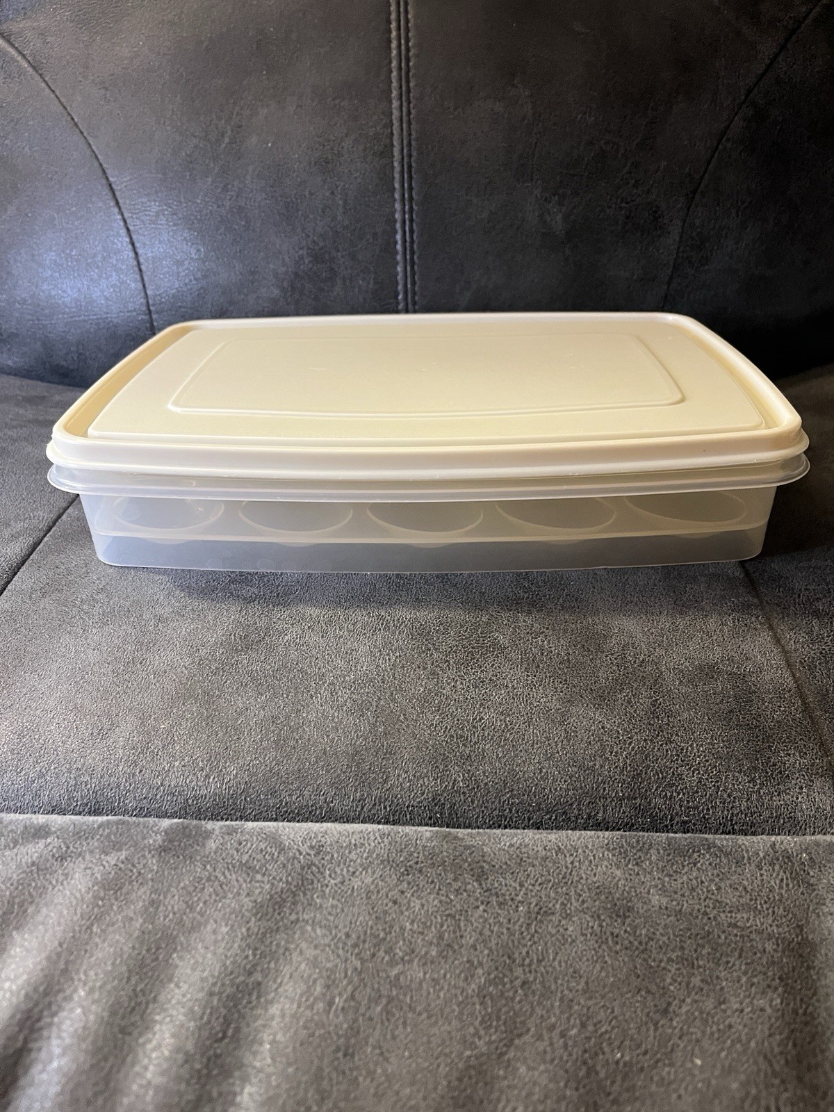 Rubbermaid Servin’ Saver #7 Deviled Egg Keeper Container Almond Lid
