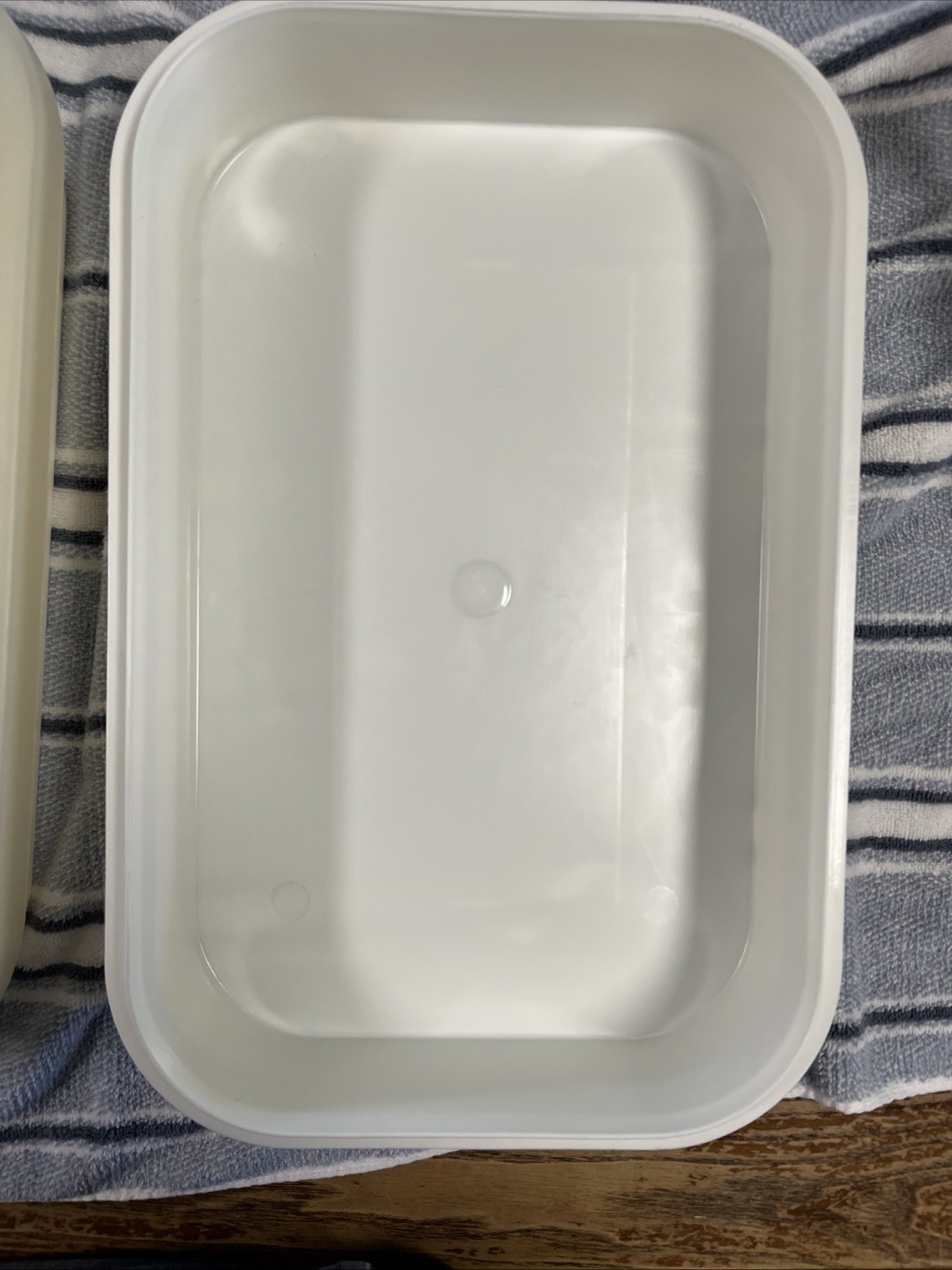 (2) Pre-owned Design Iris Schwartz 16″ X 10″ X 3.5″ Plastic Container W Handles