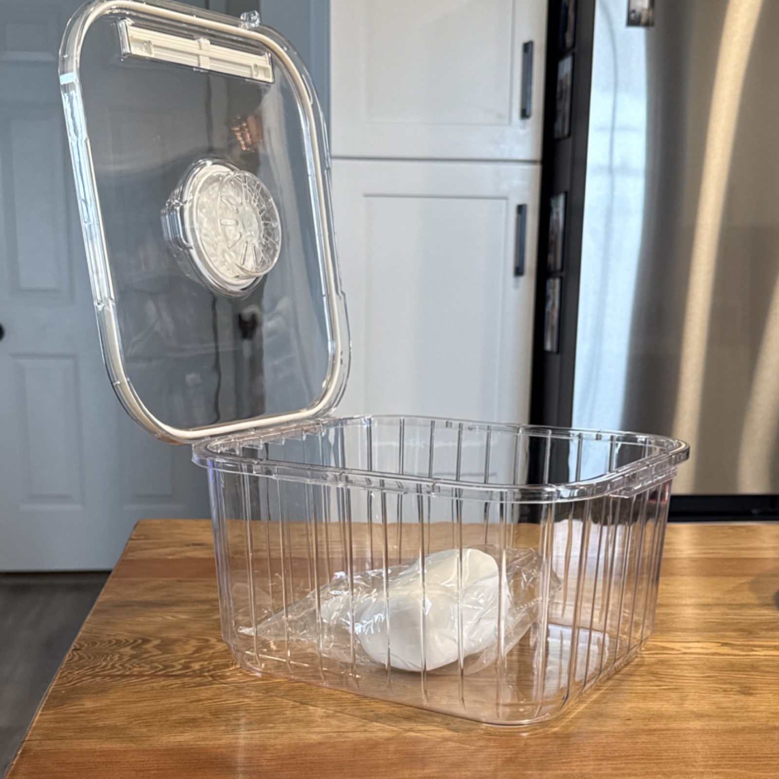 Clear BPA-Free Plastic Grains Dispenser, Airtight, Scoop Included