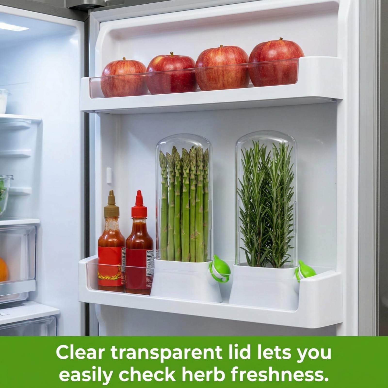 Jowgut 2 Pack Herb Saver for Refrigerator, Fresh Herb Keeper Preserver, Safe …