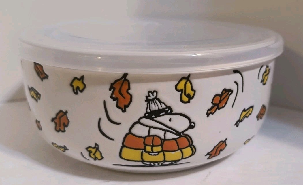 Peanuts Snoopy Puffer Jacket Fall 16 oz. Pressure Lid Food Storage Container NEW