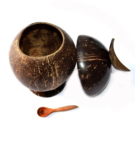 Eco Friendly Organic Handmade coconut shell salt container with spoon