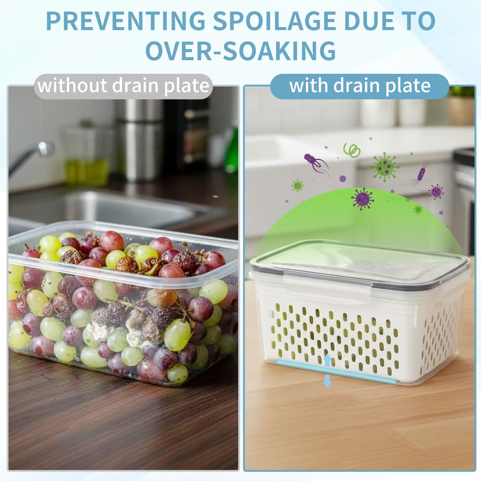 Dukrouk Grape Container for Fridge,3PCS(0.9-13.5Qt) Standard, Clear