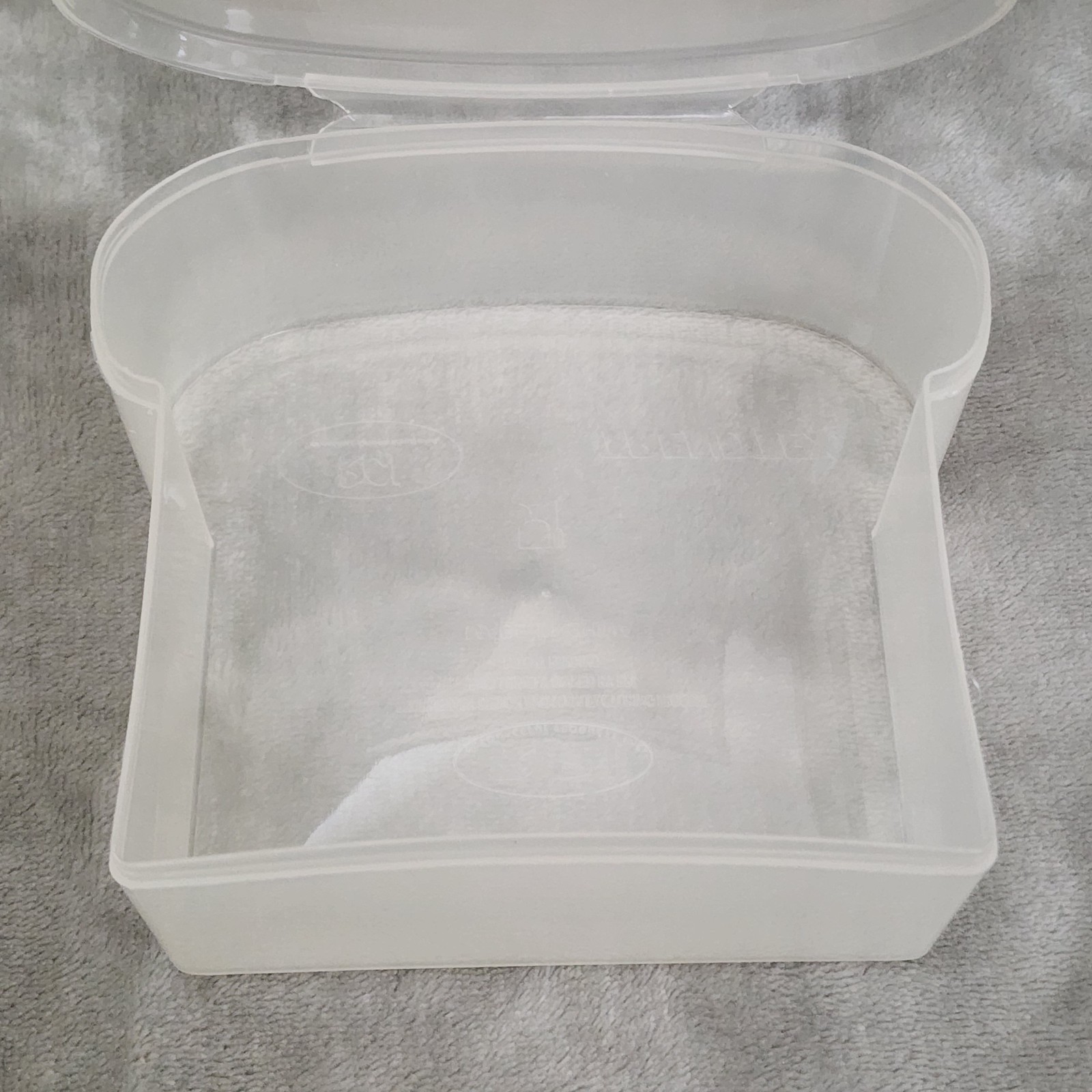 Vintage RPI Trendtex Sandwich Shaped Keeper – Hinged Lid – Clear Plastic – Rare