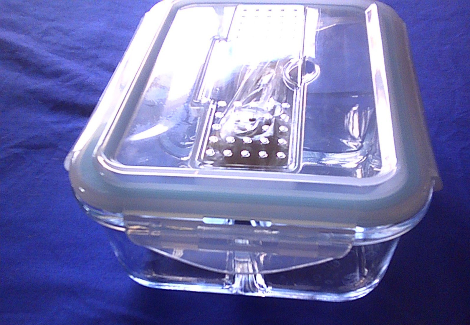Divided Glass Food Storage Container Locking Lid Bento Box Silverware Fork Spoon