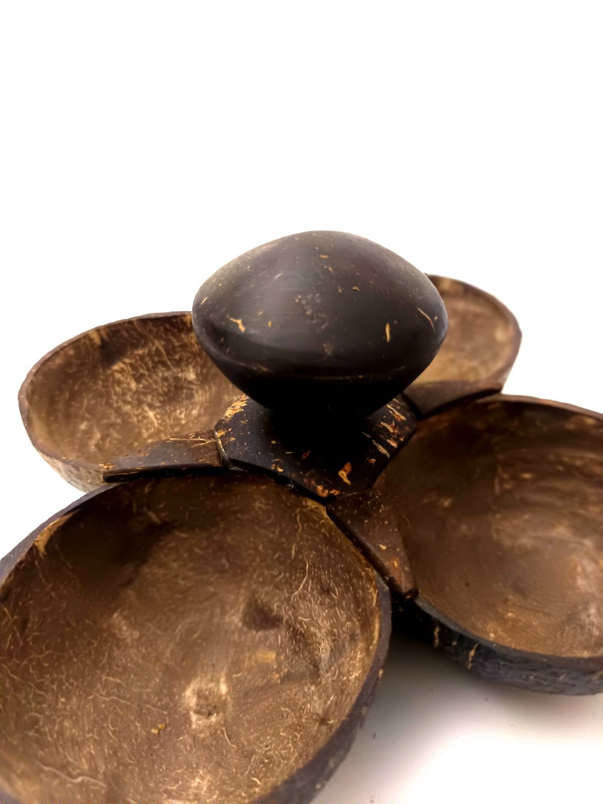 4 in 1 Coconut Shell Thook/Container