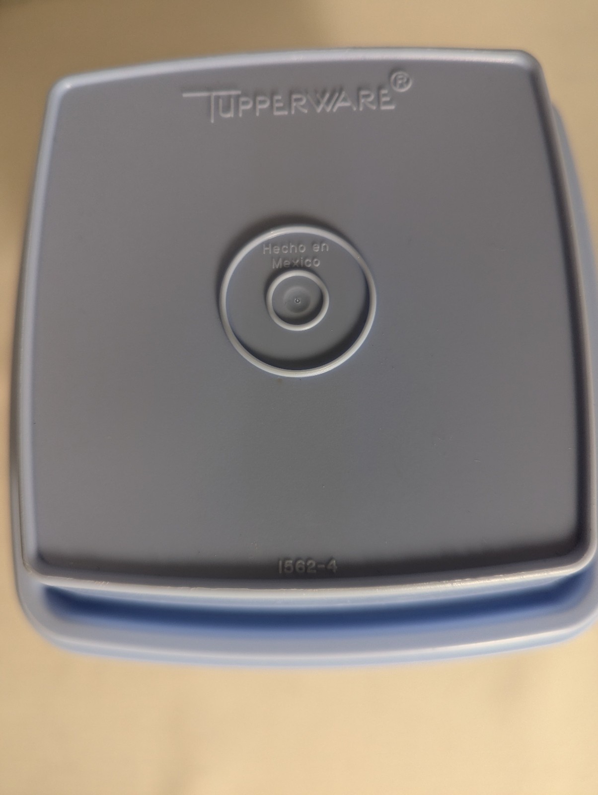 Tupperware Blue Pick-A-Deli Pickle Keeper – 1.6 L Storage Container Set