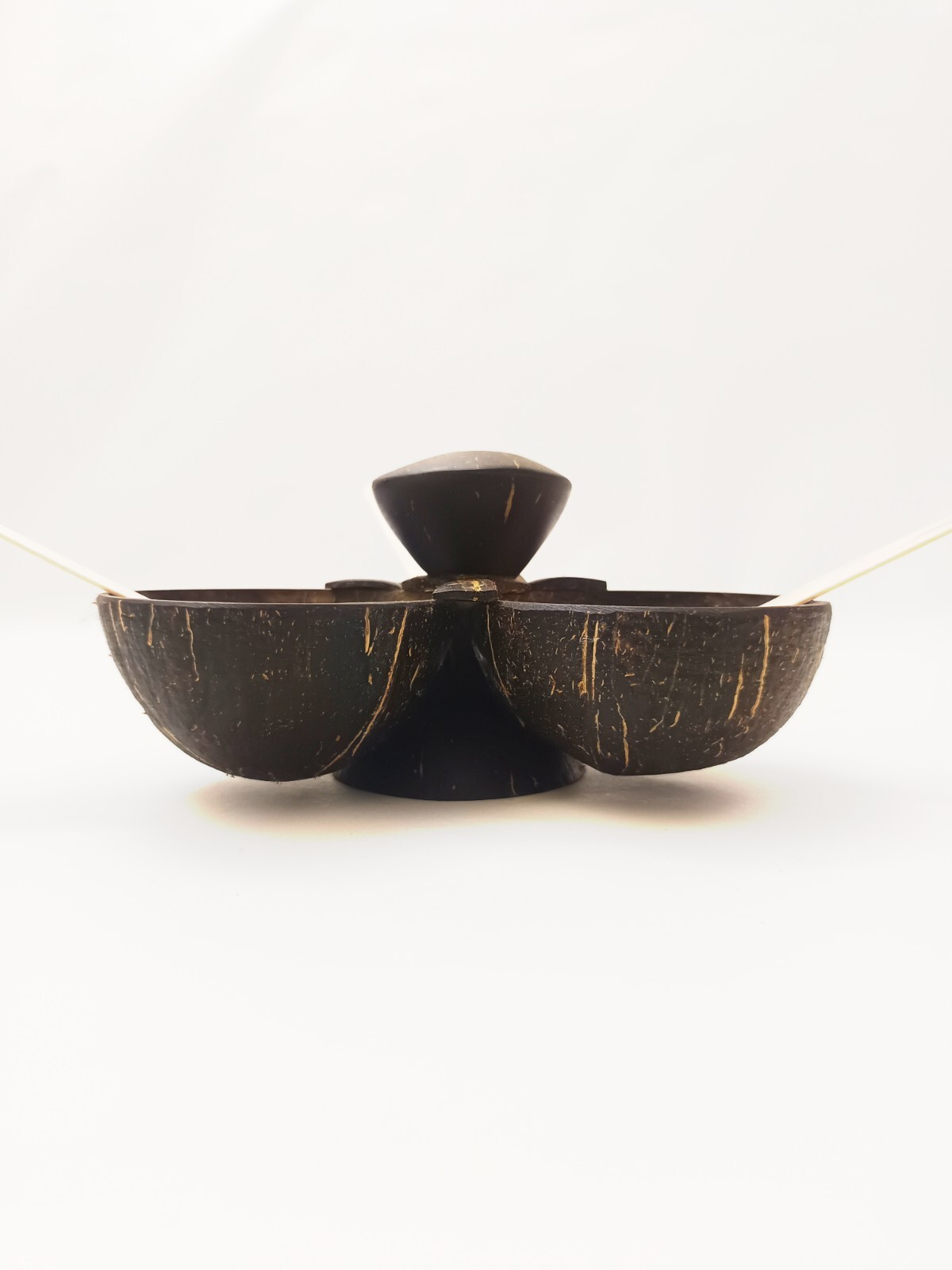 4 in 1 Coconut Shell Thook/Container
