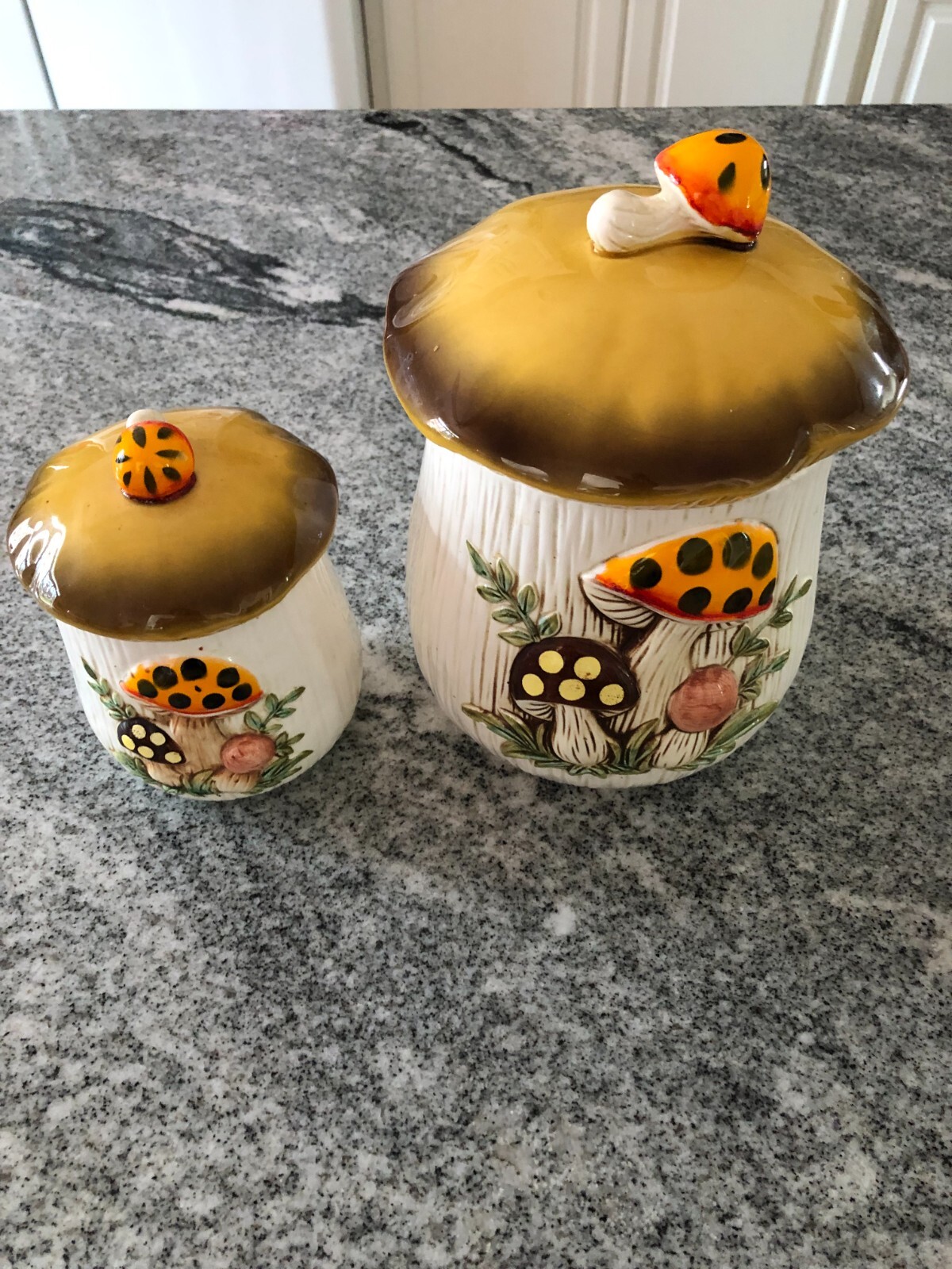 Mushroom Container’s