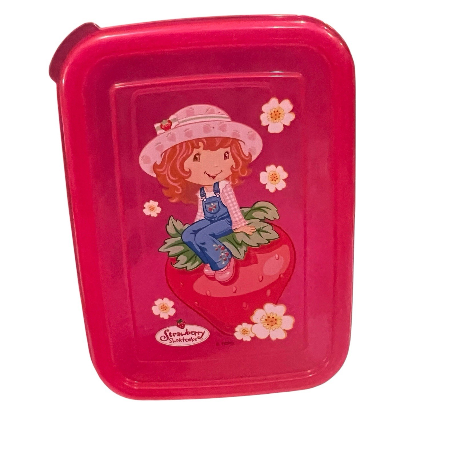 Strawberry Shortcake Plastic Food Storage Container w/ Lid – Pink Berry Design