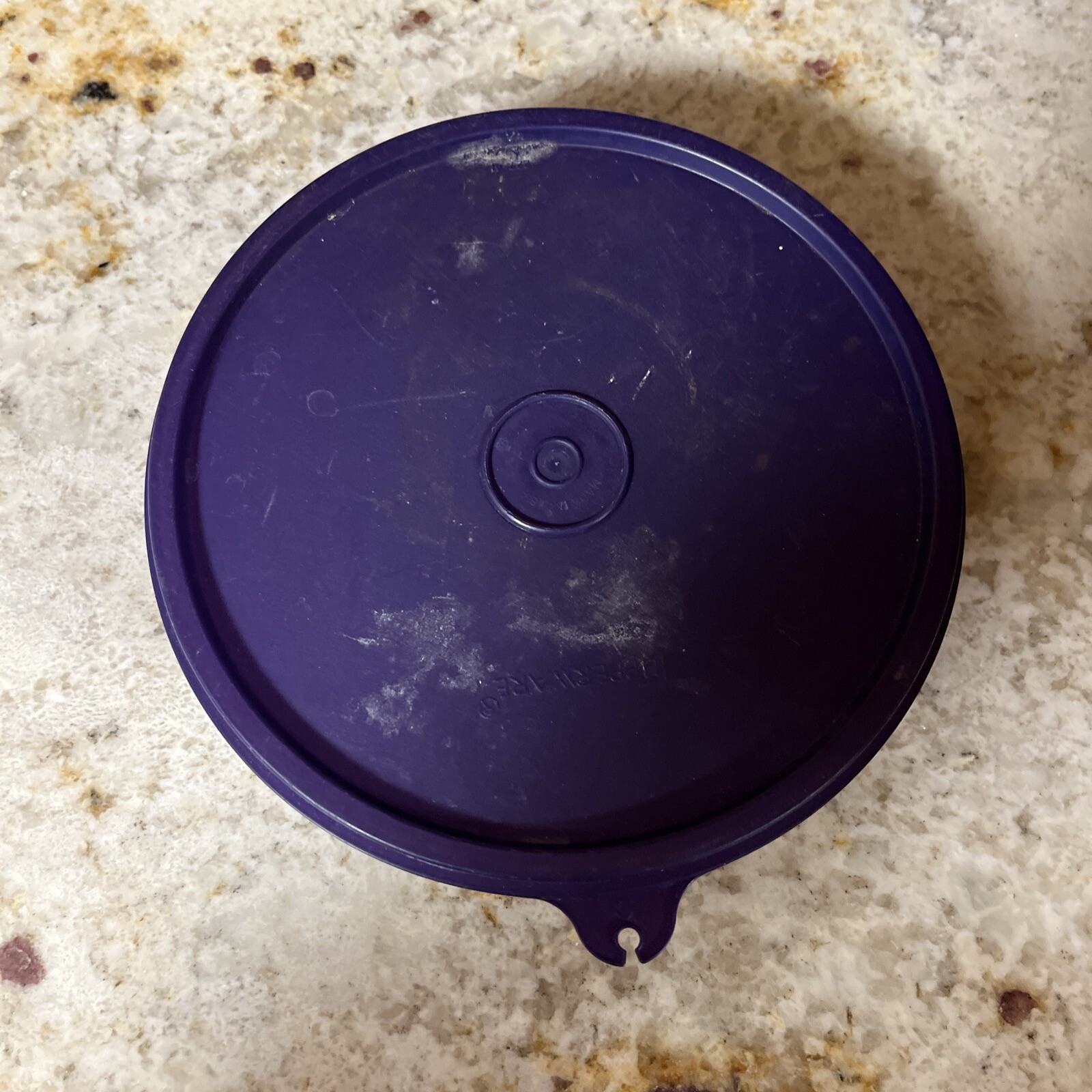 NEW Tupperware Clear Cereal Ice Cream Bowls with Purple Lids (SU106)
