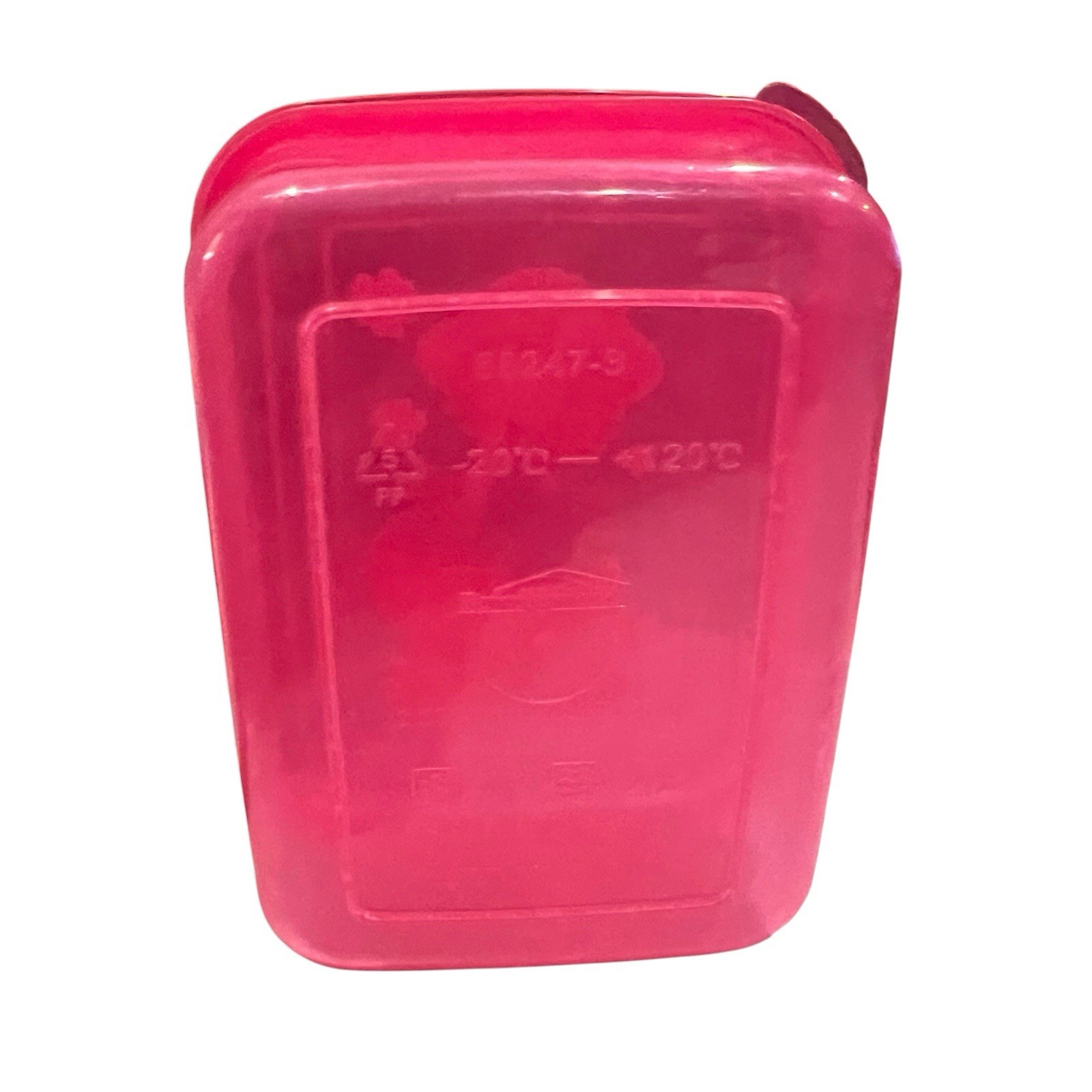 Strawberry Shortcake Plastic Food Storage Container w/ Lid – Pink Berry Design