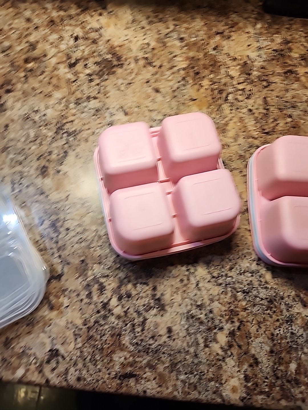 4x 4 Section To-Go Food Containers + Lids