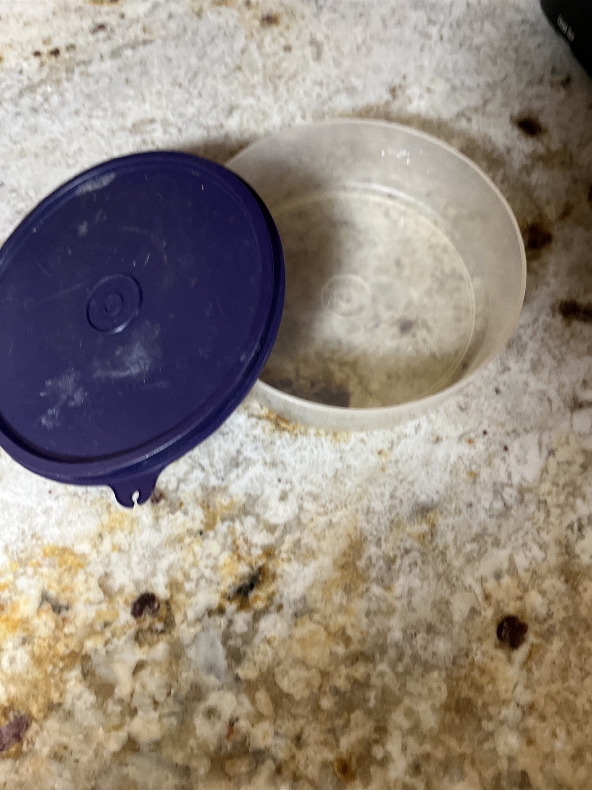 NEW Tupperware Clear Cereal Ice Cream Bowls with Purple Lids (SU106)