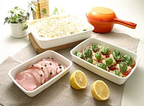 Noda Horo Food Strage Enamel Container 2.4 WRA-L Japan Import