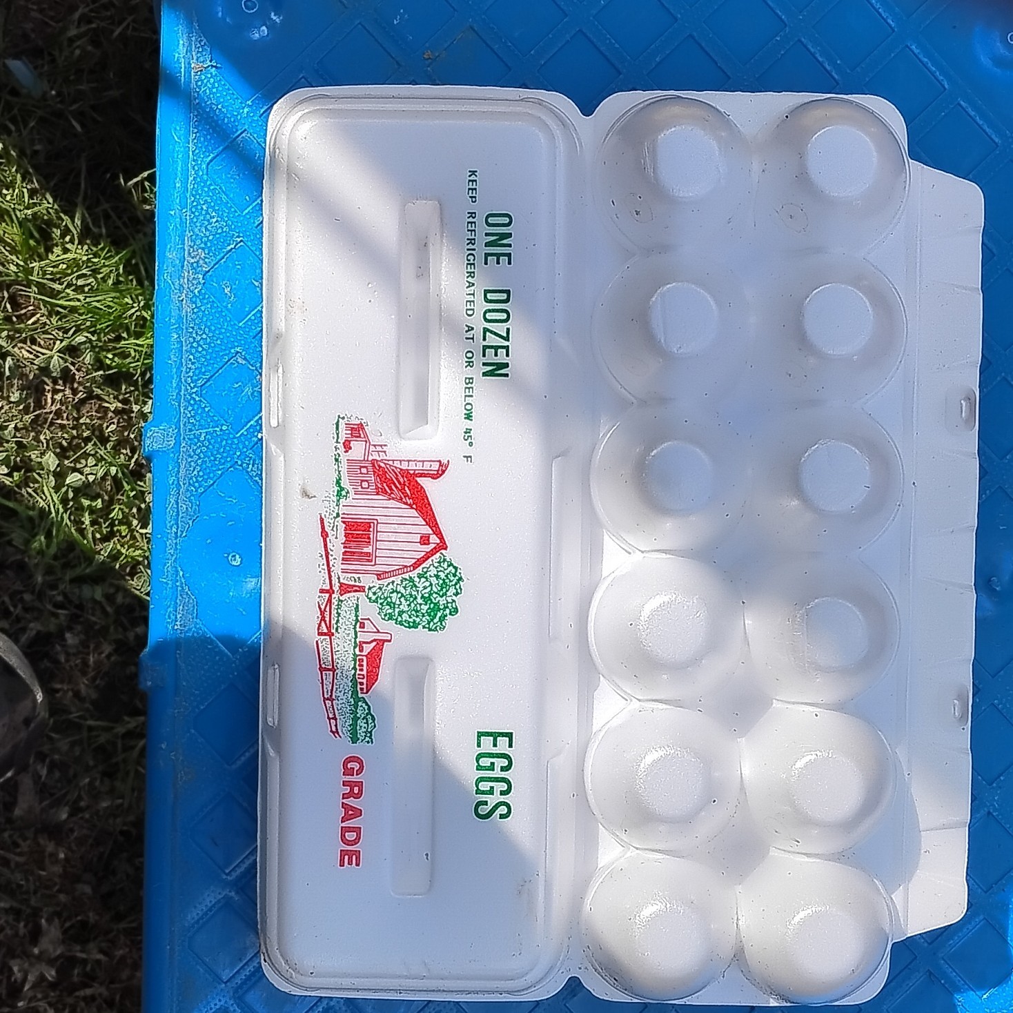 New 12 Egg Carton