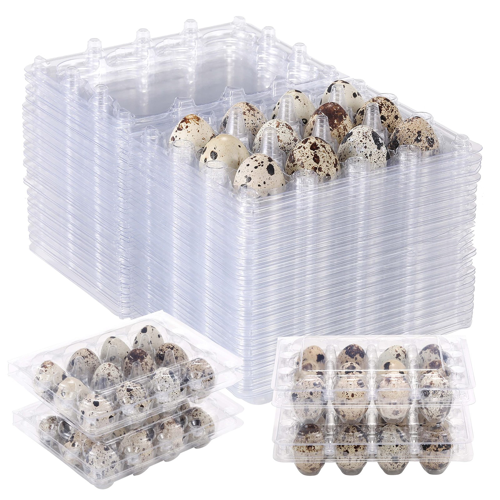 60 PCS Quail Egg Cartons 3×4 Style 12 Count Square Plastic Tray Refrigerator