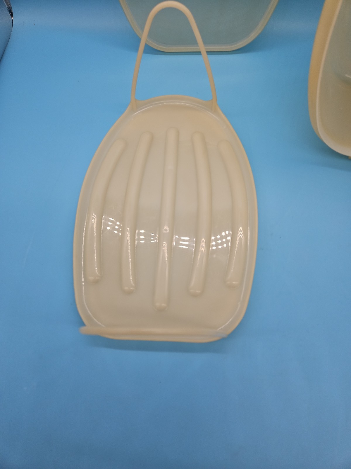 VTG 488 Tupperware Roast Flavor Saver Container Sheer White Oval with Lid & Rack