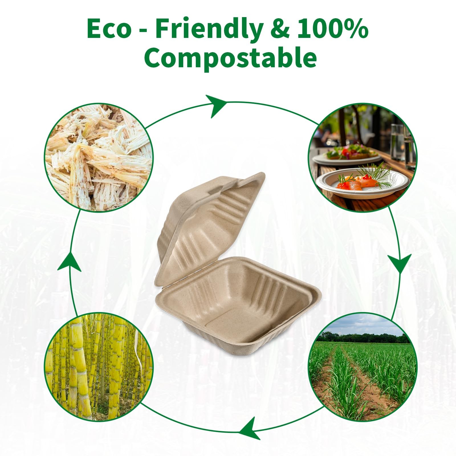 Compostable 50 Pack 6×6 Inch Disposable Square Small Lunch Box Takeout Container