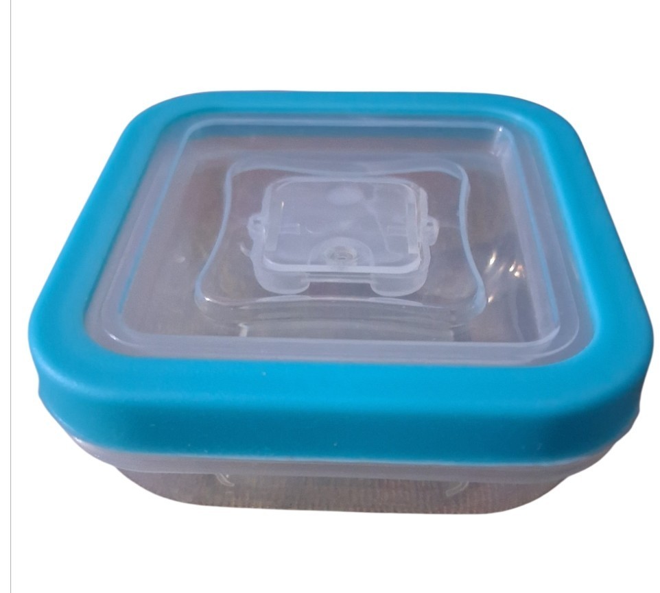 Food Storage With Lids 4 Pc Set Various Sizes