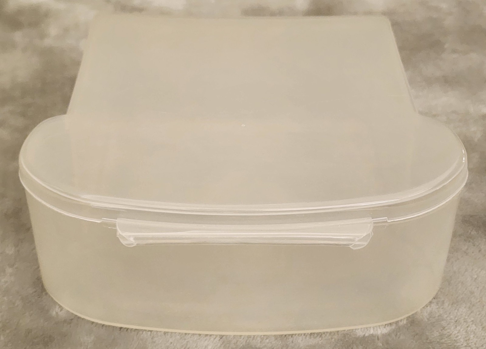 Vintage RPI Trendtex Sandwich Shaped Keeper – Hinged Lid – Clear Plastic – Rare