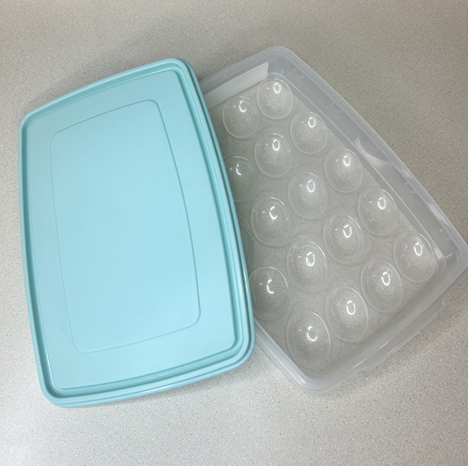 Rubbermaid Egg Keeper #3910 Servin’ Saver Tray Container Holds 20 Eggs Teal Lid
