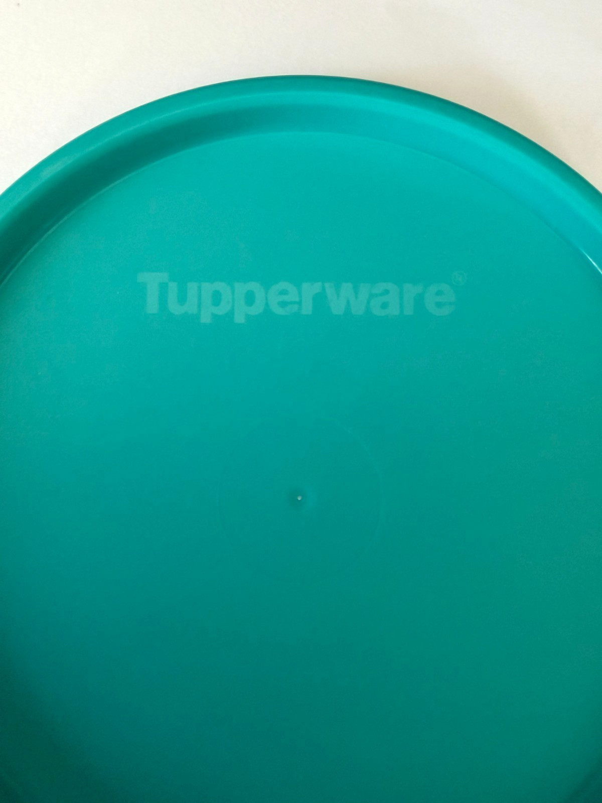 NEW Tupperware Replacement Lid/Seal 6957A-4 – Teal – Fits Hamburger Keeper
