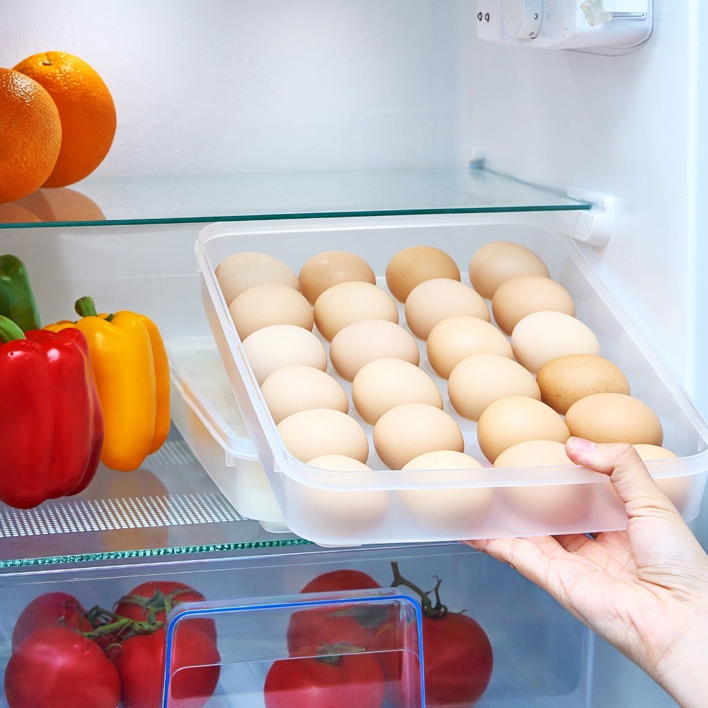 Clear Deviled Egg Tray Set – 2 Piece Carrier Holds 48 Eggs Total with Secure Lid