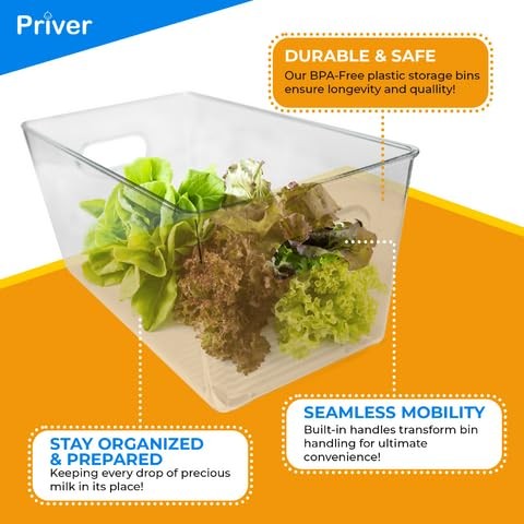 Refrigerator Organizers and Storage Containers – Efficient Kitchen Fridge Org…