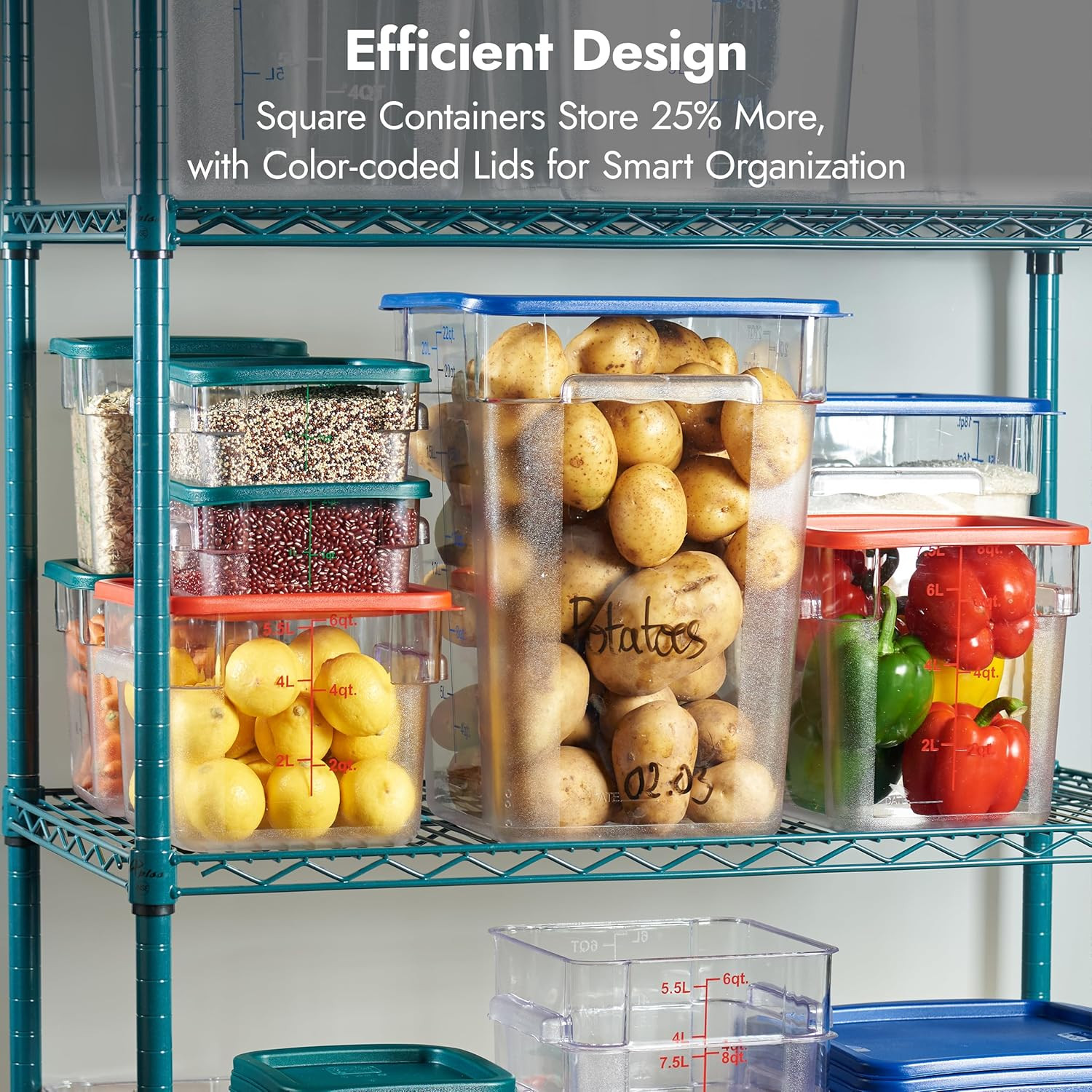 4 Pack Food Storage Containers with Blue Lids – NSF Listed Commercial Grade in 2