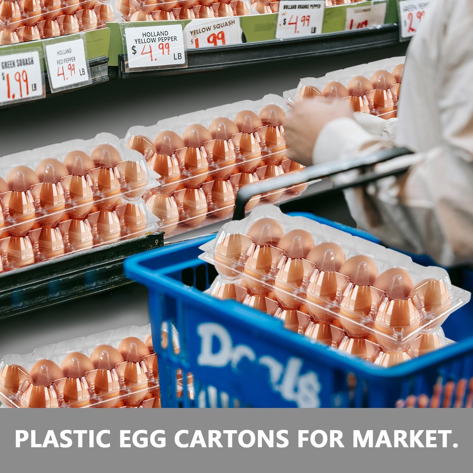 60 Bulk Clear 12 Count Egg Cartons Large Size PET Plastic Tray Holders