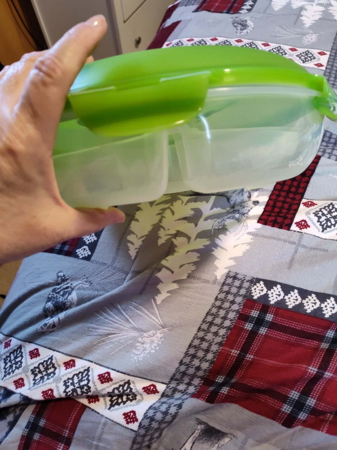 Lock N Lock Divided Round Container Fruit And Veggie Condiment Food Storage Tray