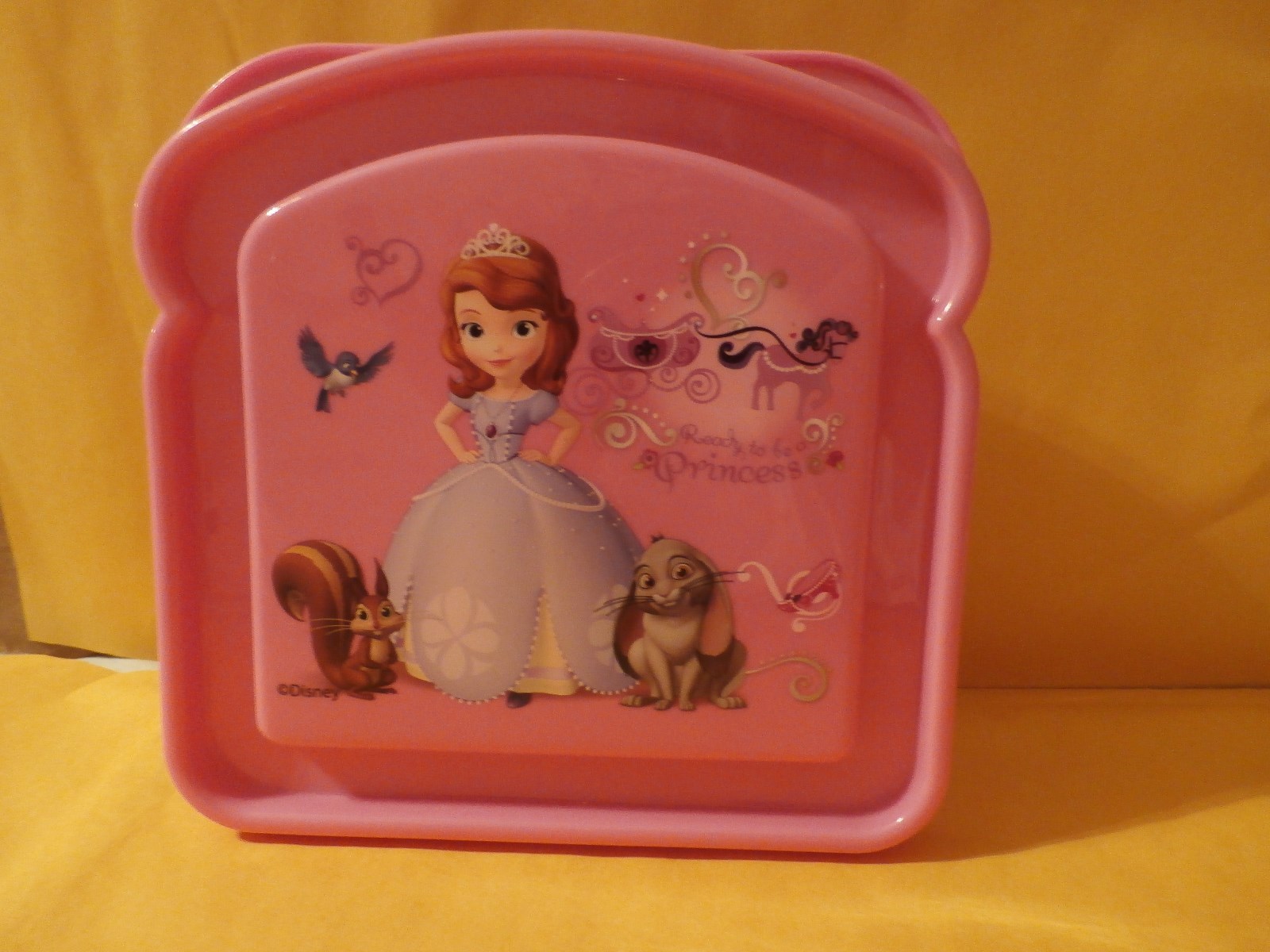 Disney Ready to be a Princess Plastic Sandwich Keeper