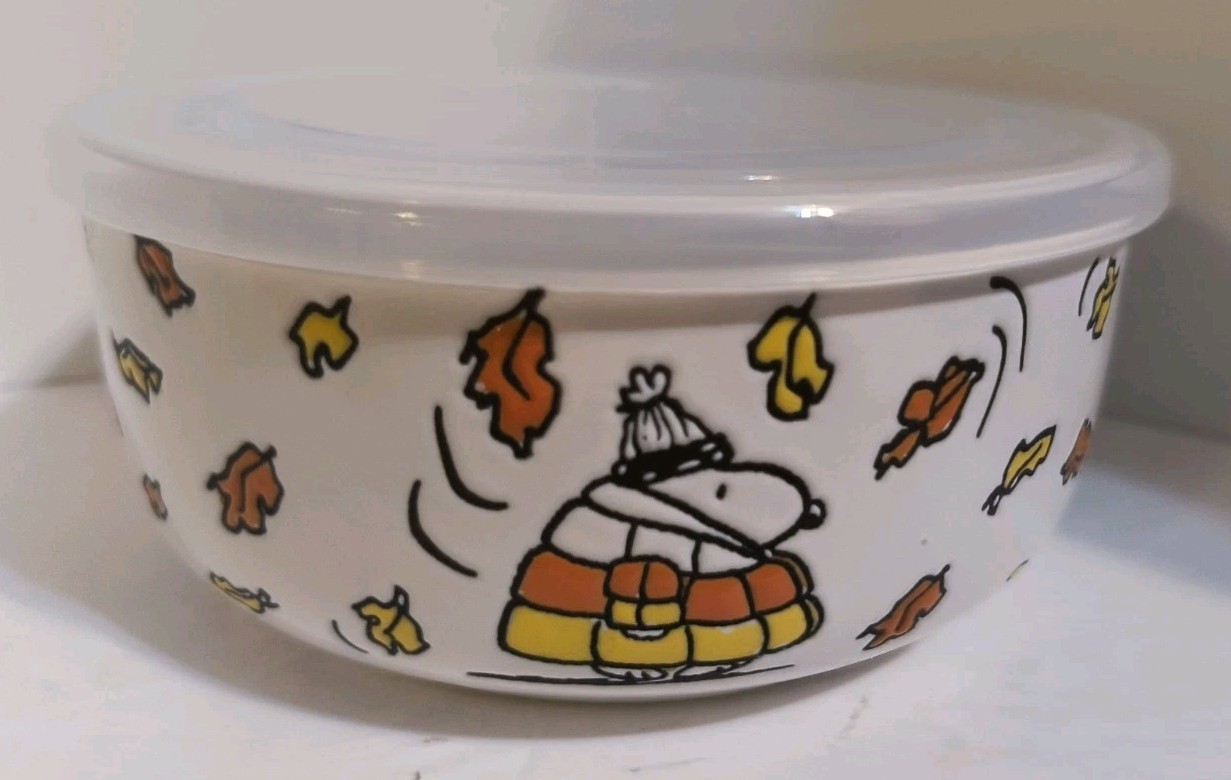 Peanuts Snoopy Puffer Jacket Fall 16 oz. Pressure Lid Food Storage Container NEW