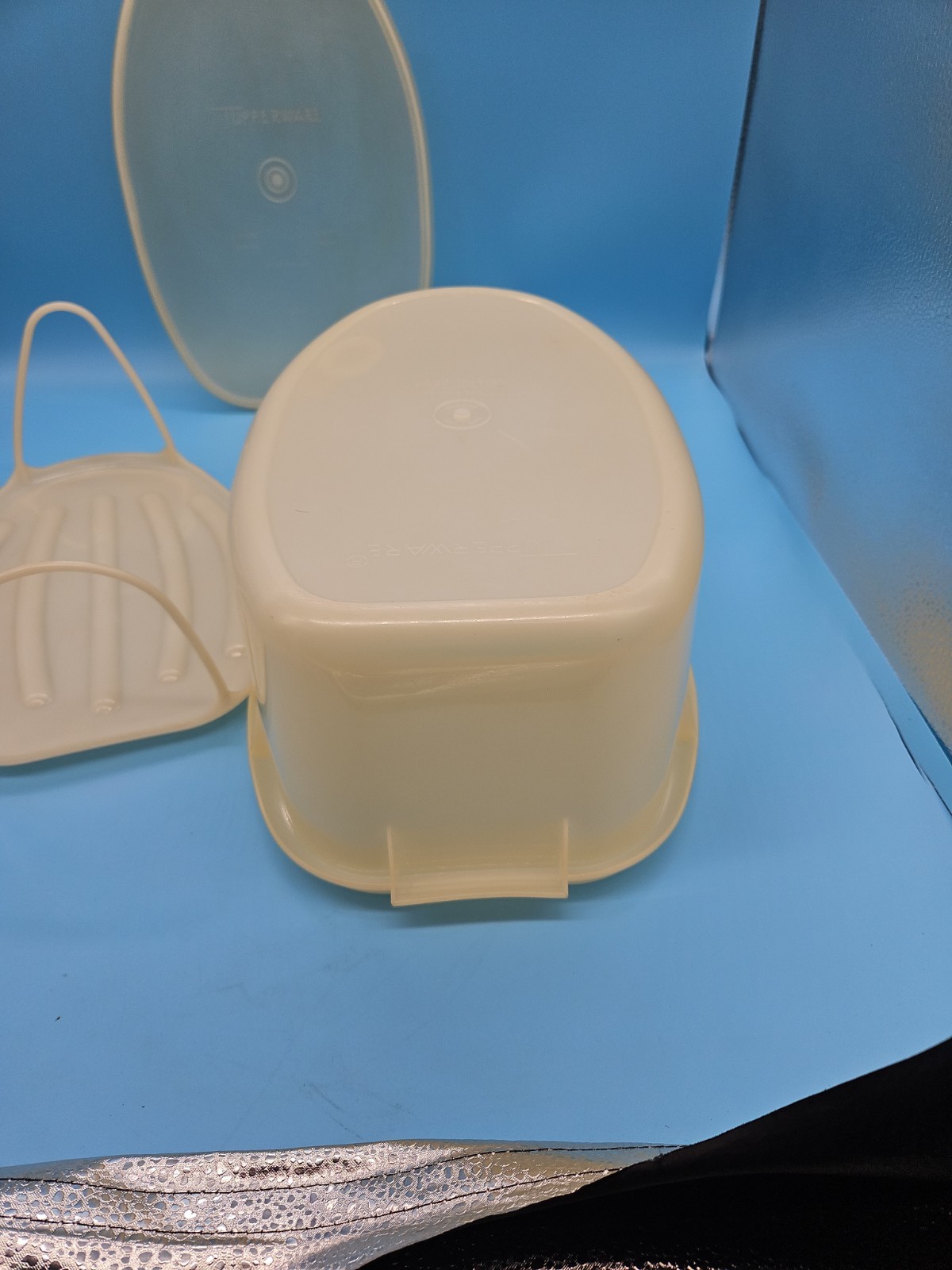 VTG 488 Tupperware Roast Flavor Saver Container Sheer White Oval with Lid & Rack