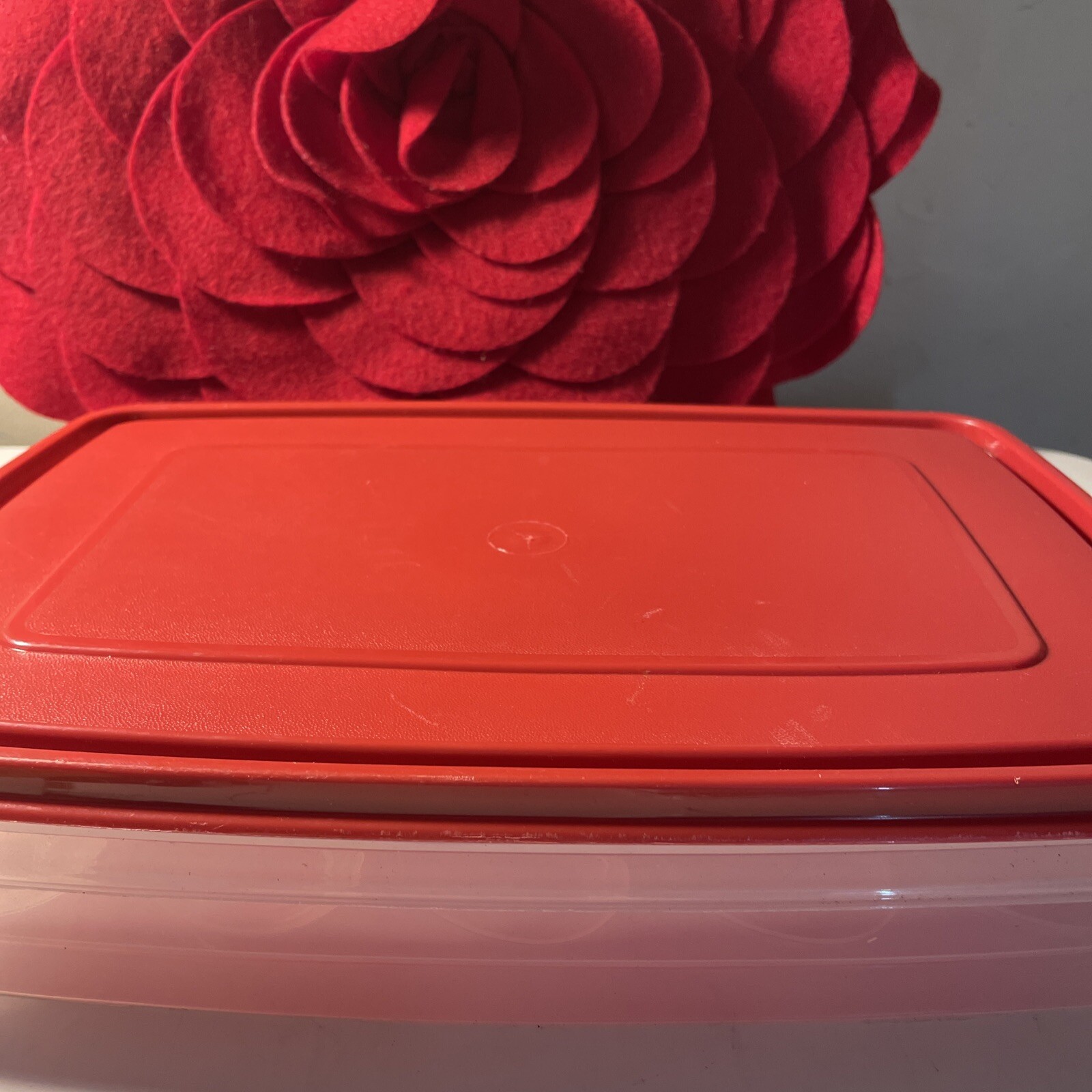 Rubbermaid Deviled Egg Keeper Tray Food Storage Container Hold 20 Jumbo Eggs Red