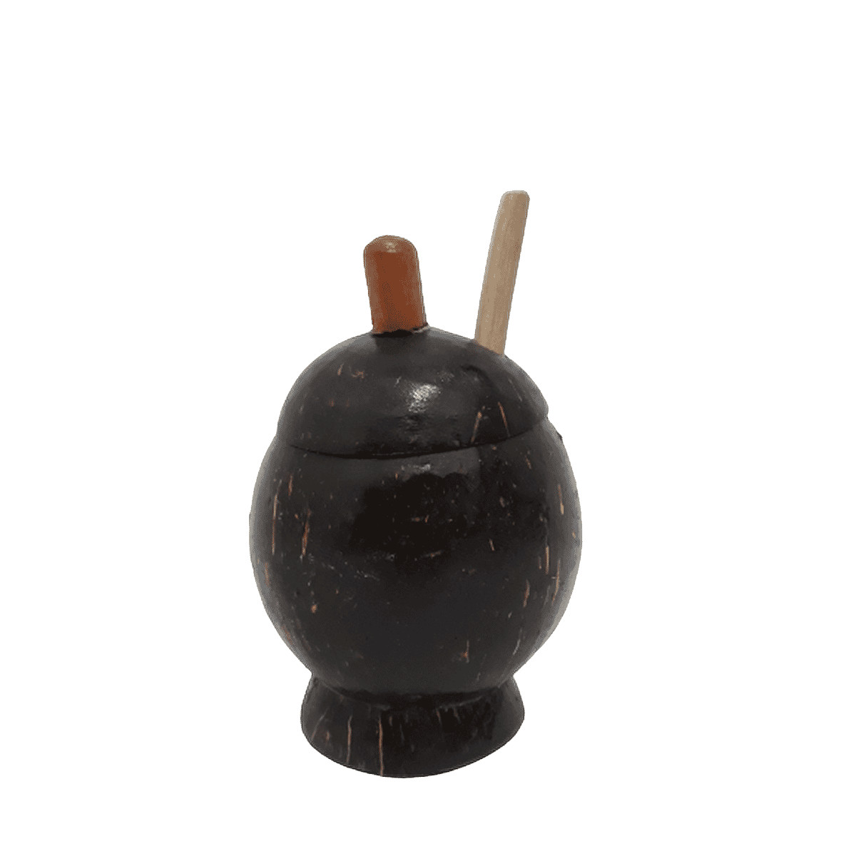 Eco Friendly Organic Handmade coconut shell salt container with spoon
