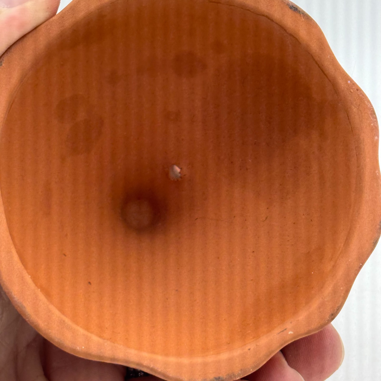 Garlic Keeper/Onion Saver Terracotta Ventilated Clay Kitchen Storage Dome – TOP