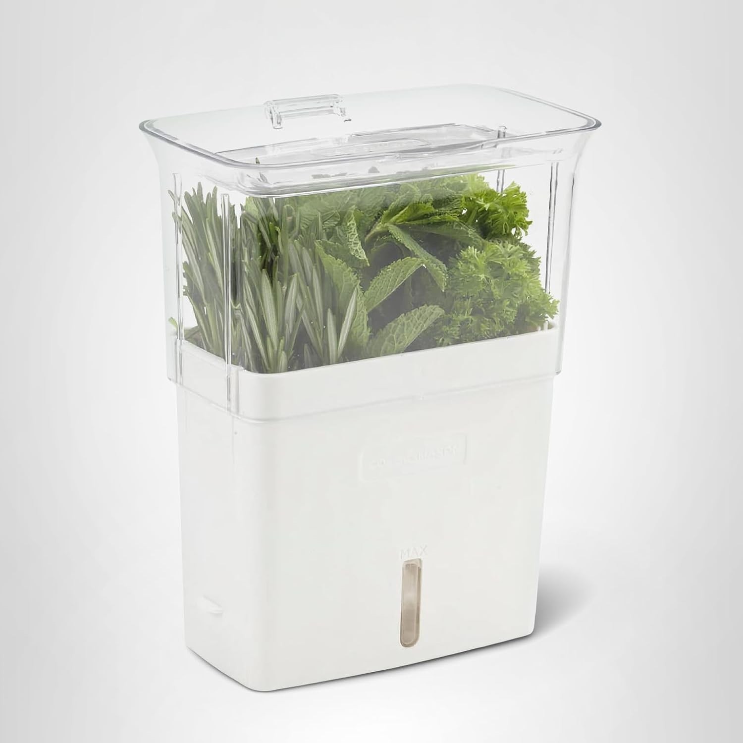 Fresh Herb Keeper – Acrylic Storage Container for Refrigerator – Storage for …