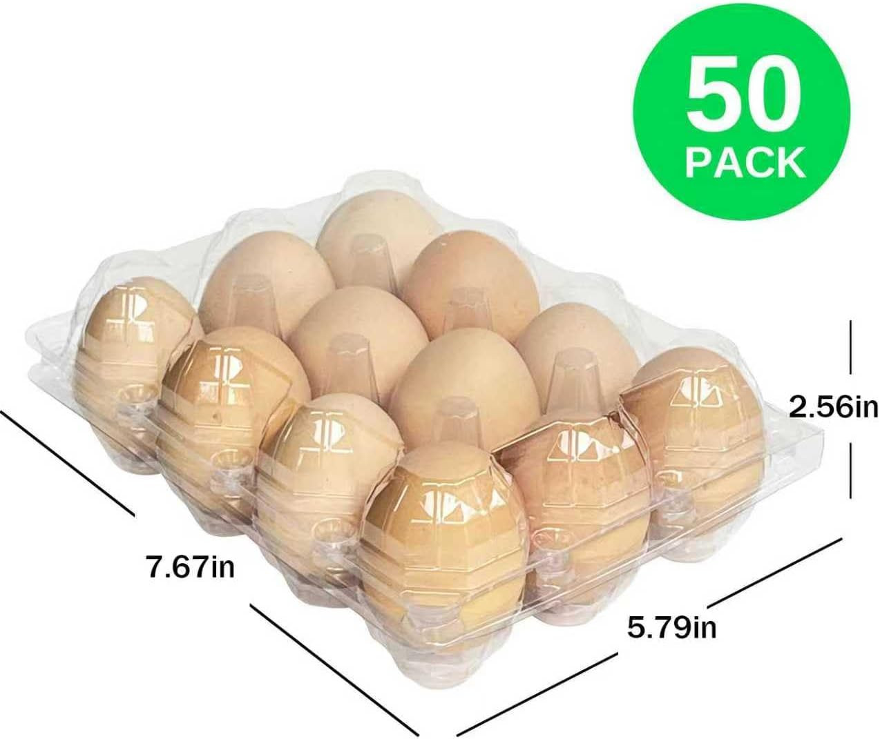50-Pack of 12-Count Plastic Egg Cartons – Bulk Clear Reusable Egg Containers Hol