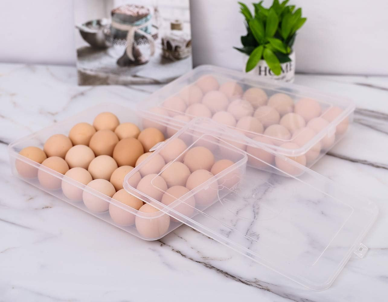 2 Pack Covered Egg Holders for Refrigerator,Clear 2X24 Deviled Egg Tray Storage
