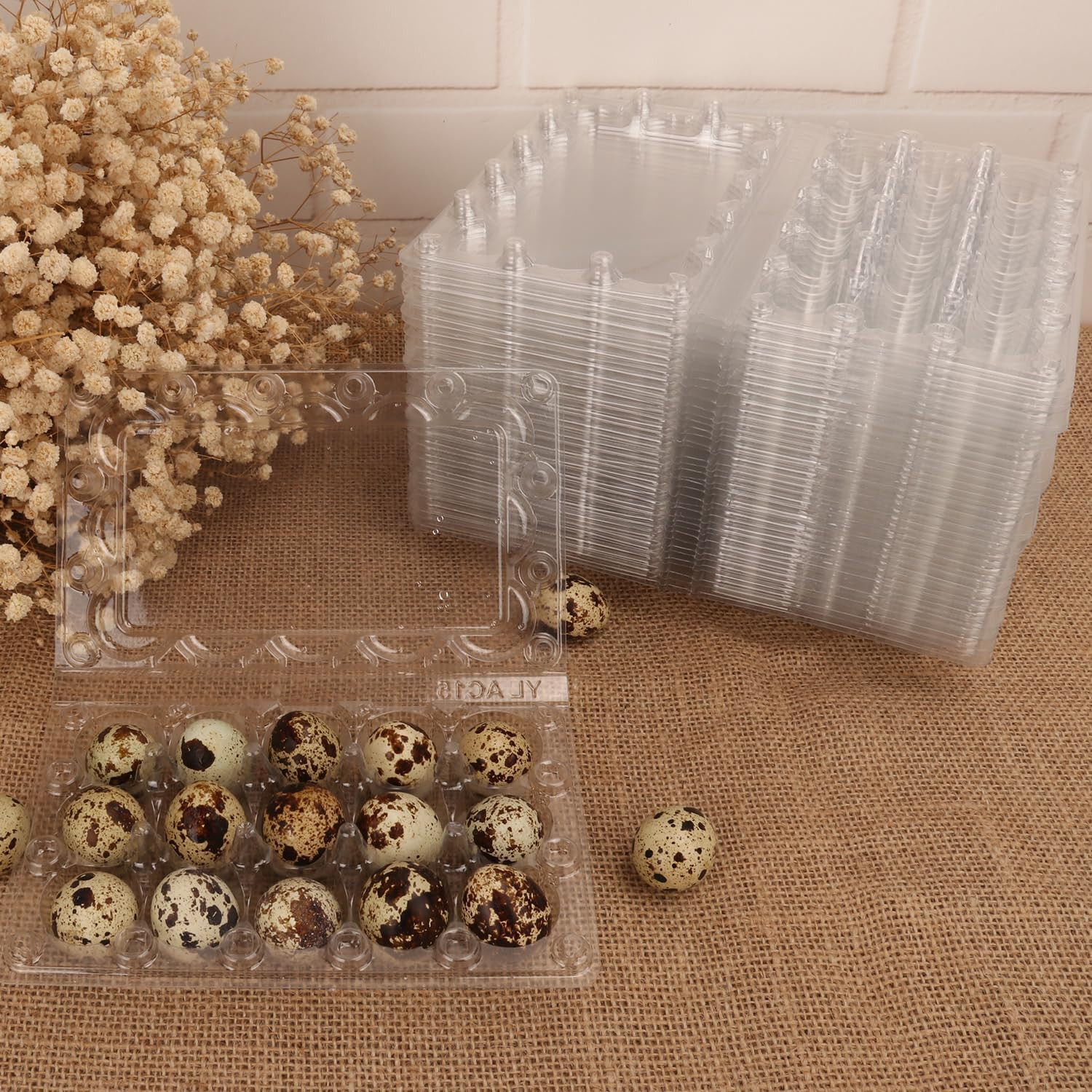 200 Pack Quail Egg Cartons, Clear Plastic Quail Egg Trays, Holds up to 15 Quail