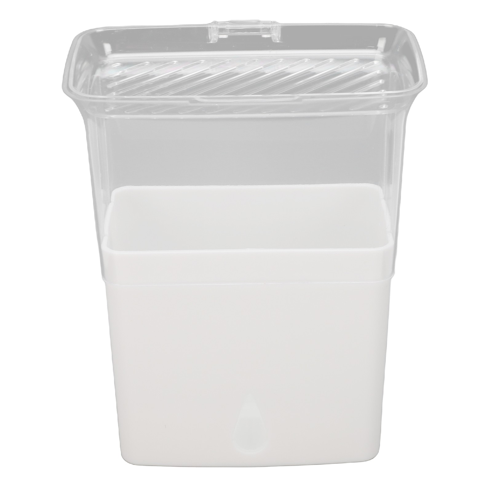 Leakproof Cilantro Keeper For Extended Freshness Ideal For Fridge Organization