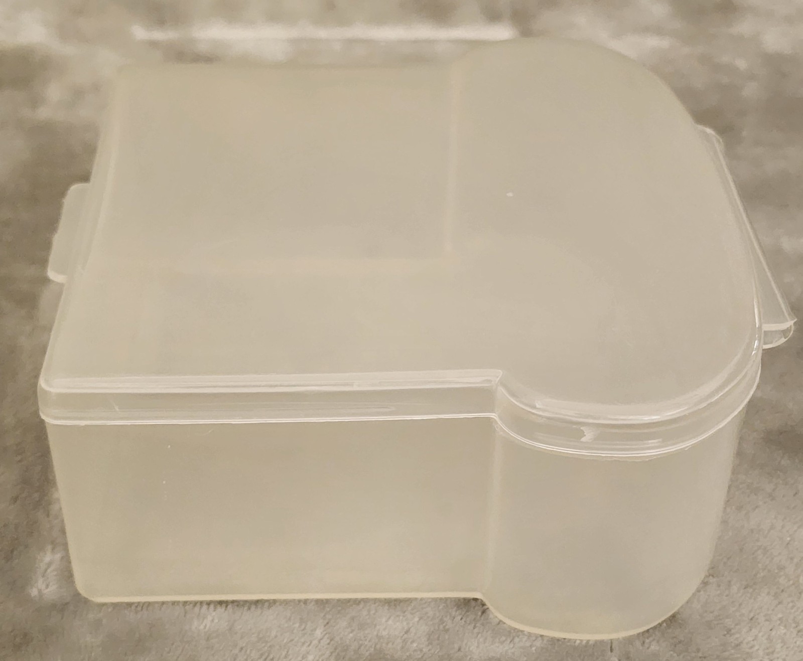 Vintage RPI Trendtex Sandwich Shaped Keeper – Hinged Lid – Clear Plastic – Rare