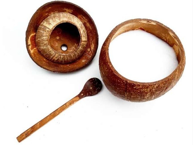 Eco Friendly Natural Coconut Shell Sea Salt Container with Mini Spoon