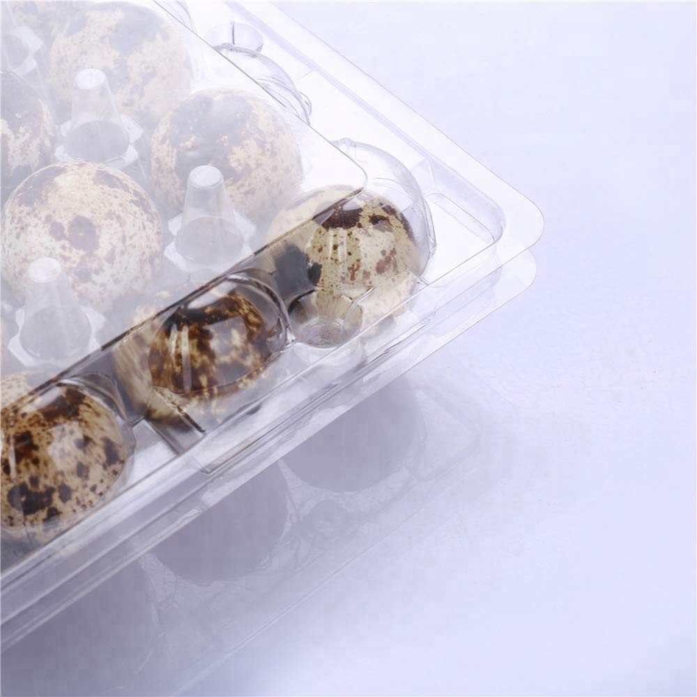 Plastic Quail Egg Cartons,50 Pack of 12 Grids Small Eggs Carton Holders for Q…