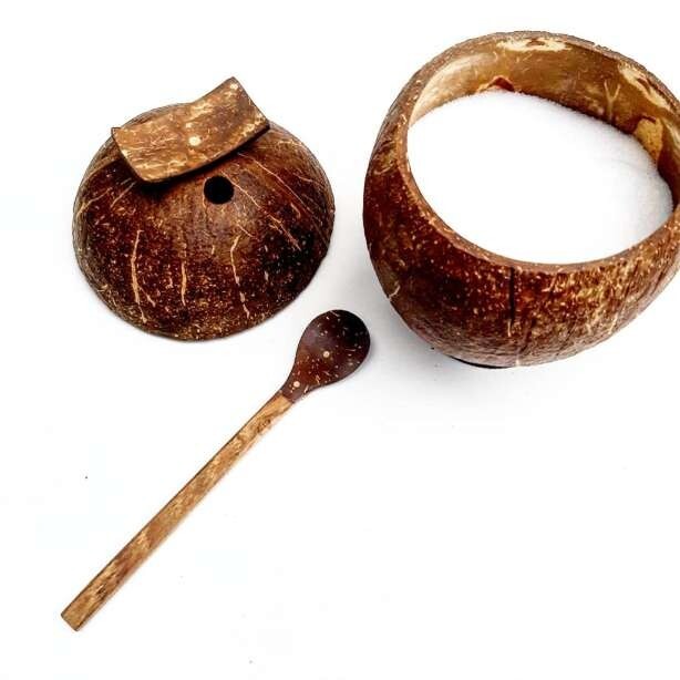 Eco Friendly Organic Handmade coconut shell salt container with spoon