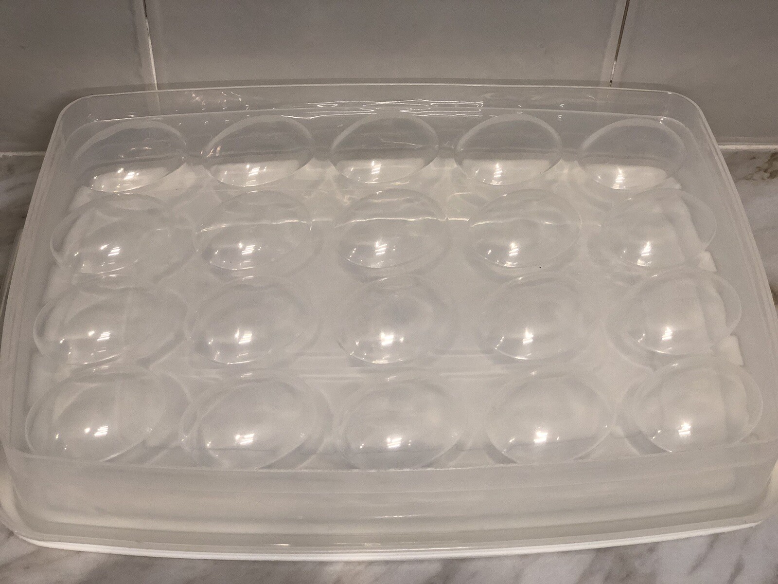 Rubbermaid Egg Keeper Storage Holds 20 Jumbo Eggs 8.5 x 12.8″ USA