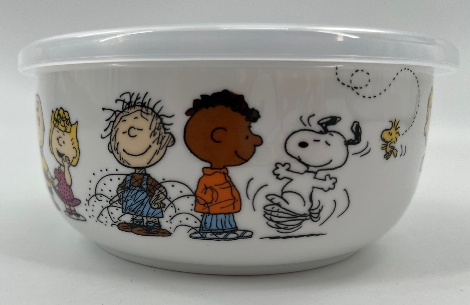 Peanuts Gang Small Food Storage Container – Friends