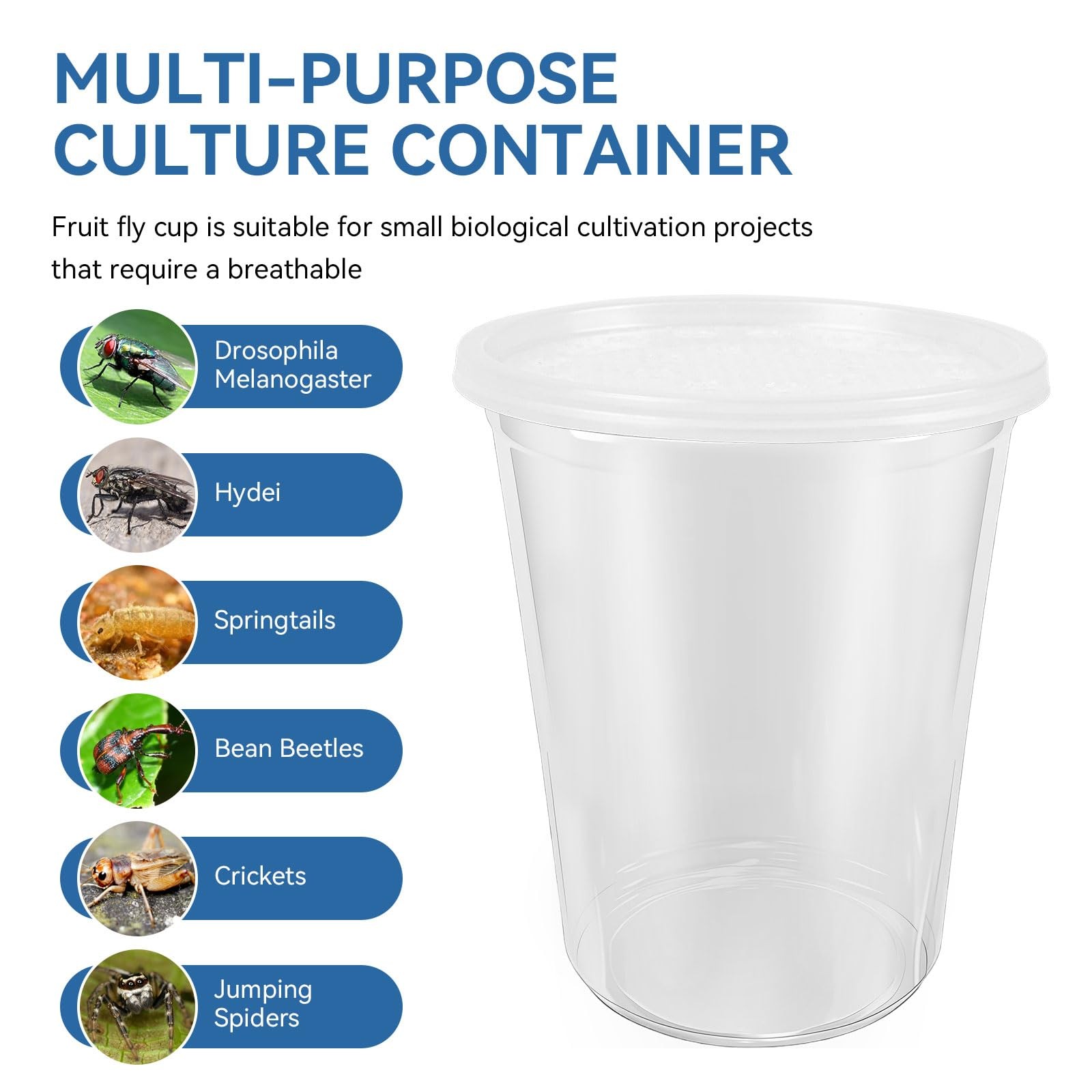 10 PCS 32 OZ Deli Cups Fabric Vented Lids Culture Containers Mesh Feeder Clear